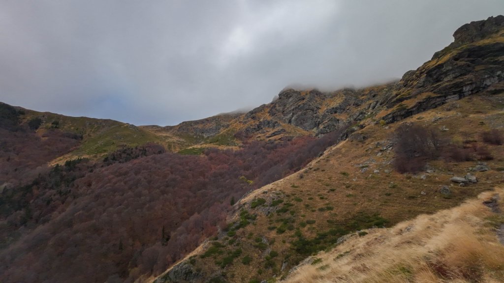 photo26.jpg