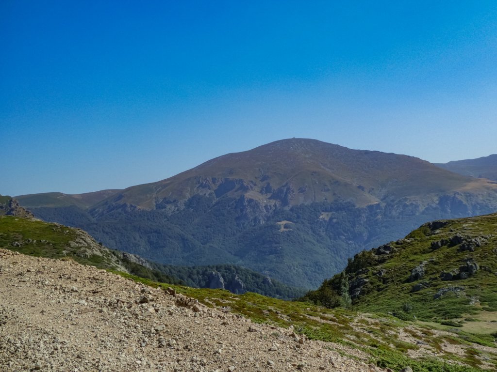 photo25.jpg
