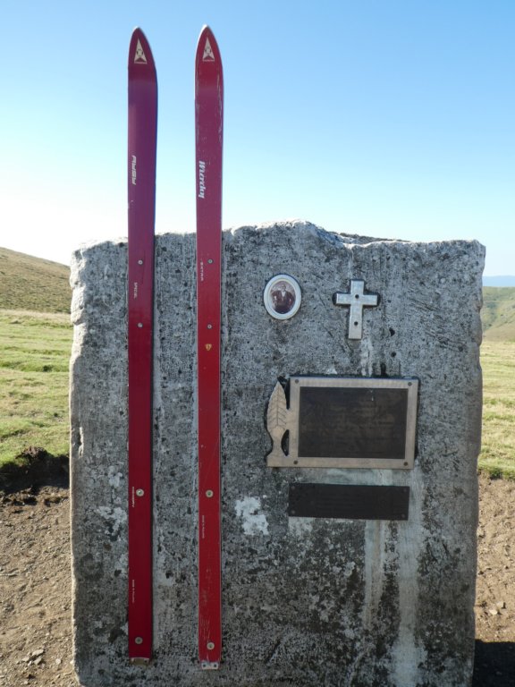 photo15.jpg