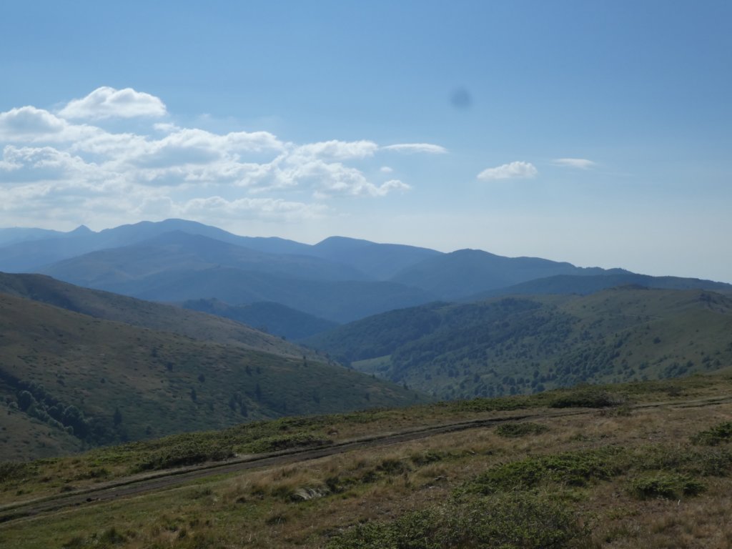 photo20.jpg