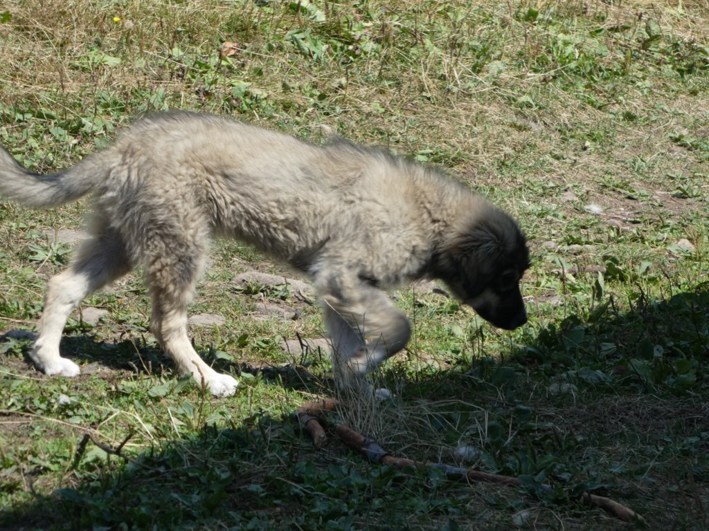 photo36.jpg