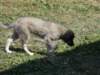 photo36_small.jpg