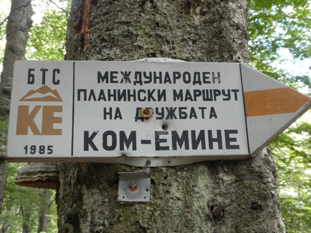 photo45.jpg