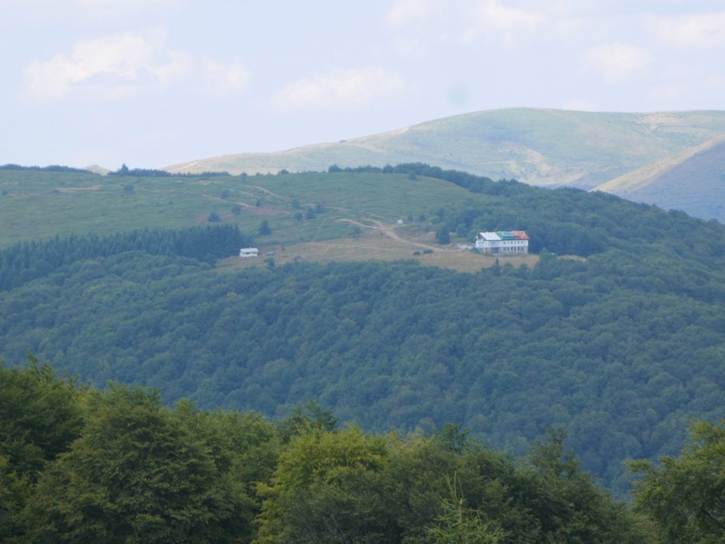 photo47.jpg