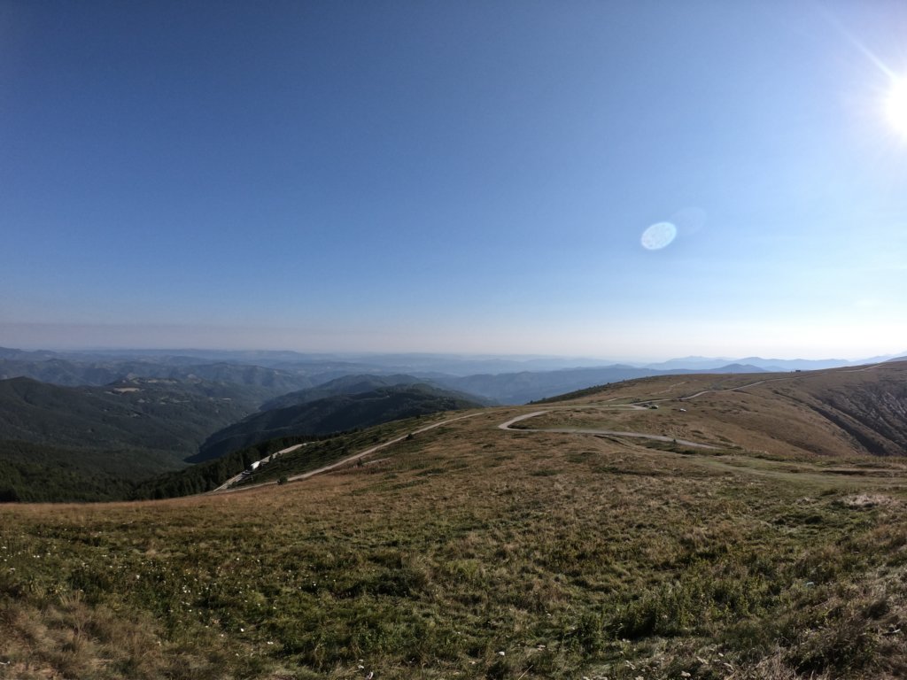 photo5.jpg