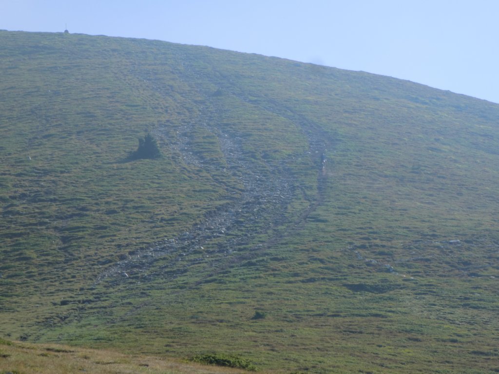 photo11.jpg