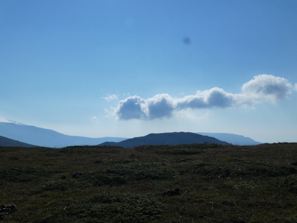 photo4.jpg