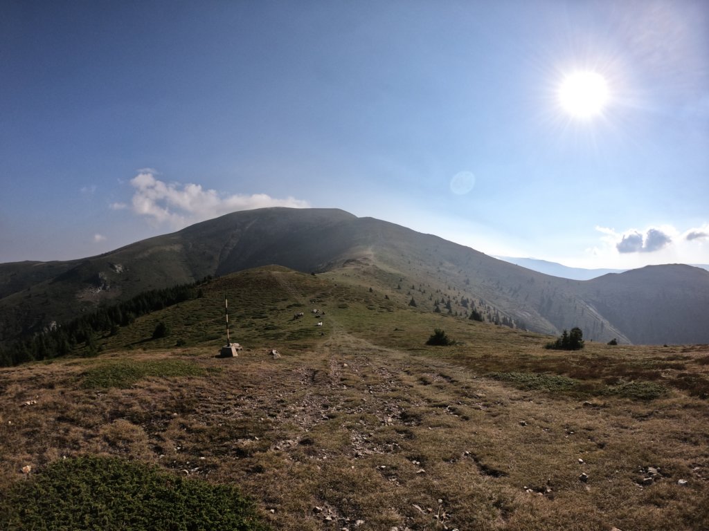 photo5.jpg