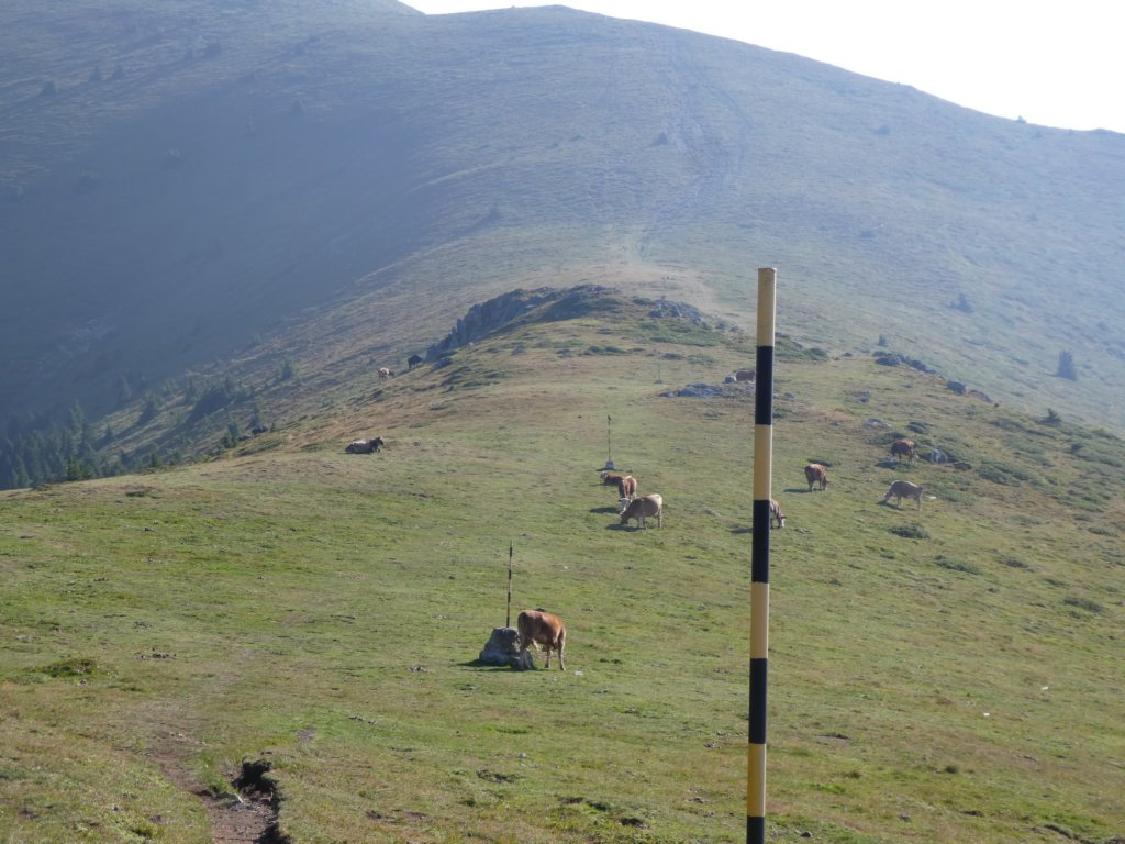 photo7.jpg