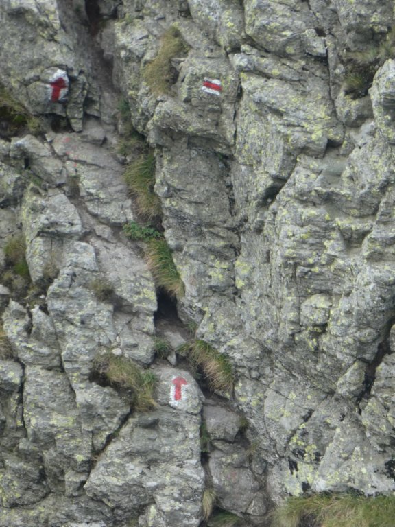 photo82.jpg