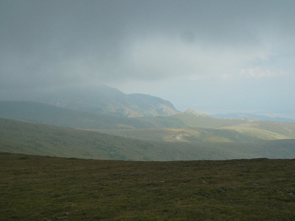 photo96.jpg