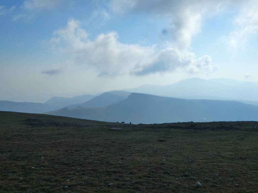 photo15.jpg