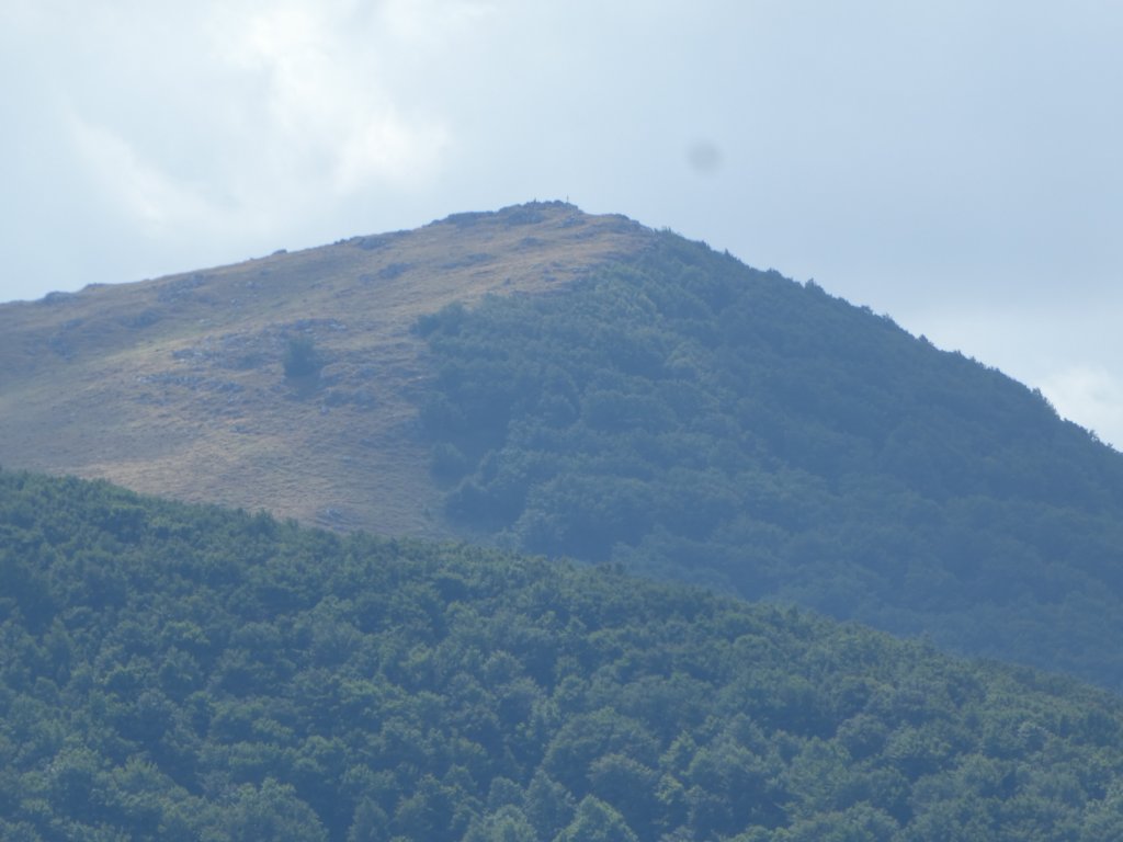 photo24.jpg