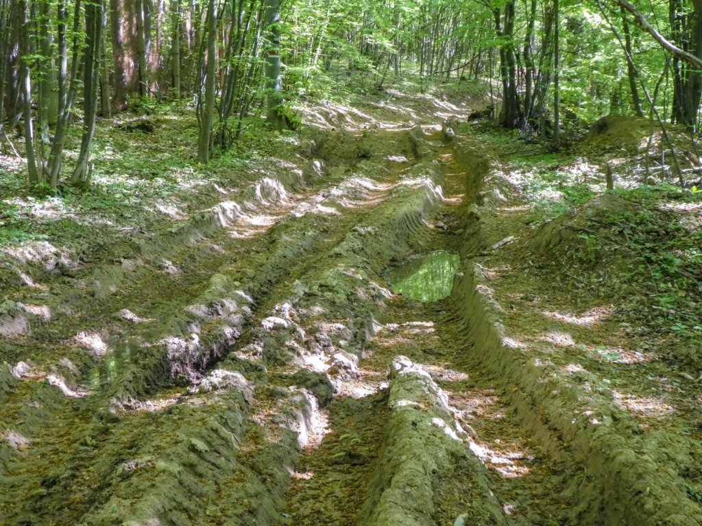 photo4.jpg
