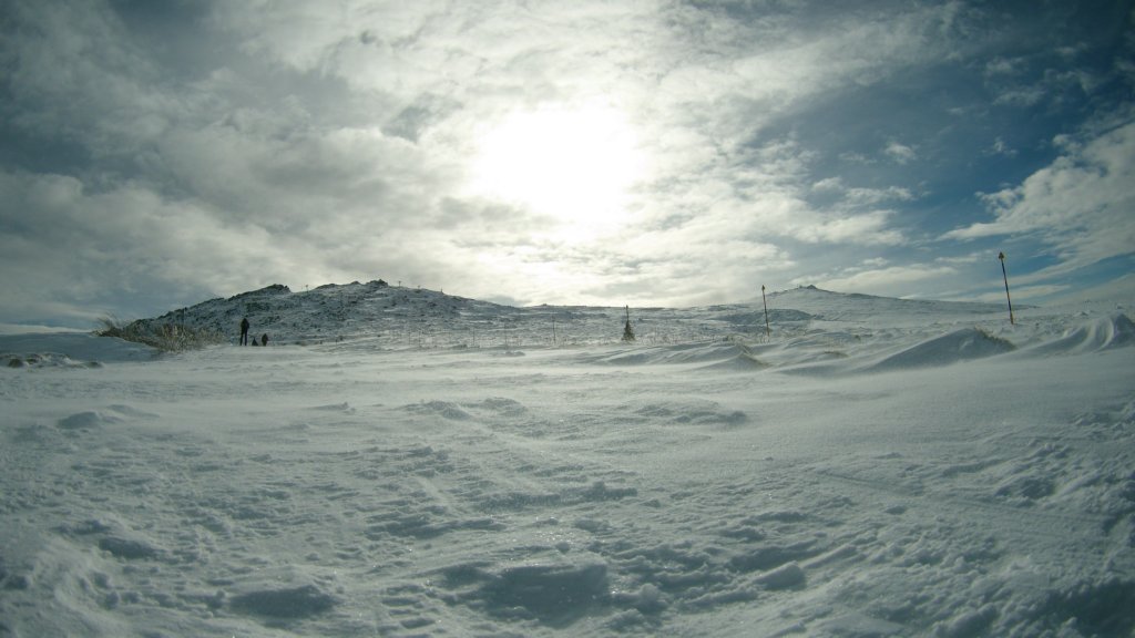 photo17.jpg