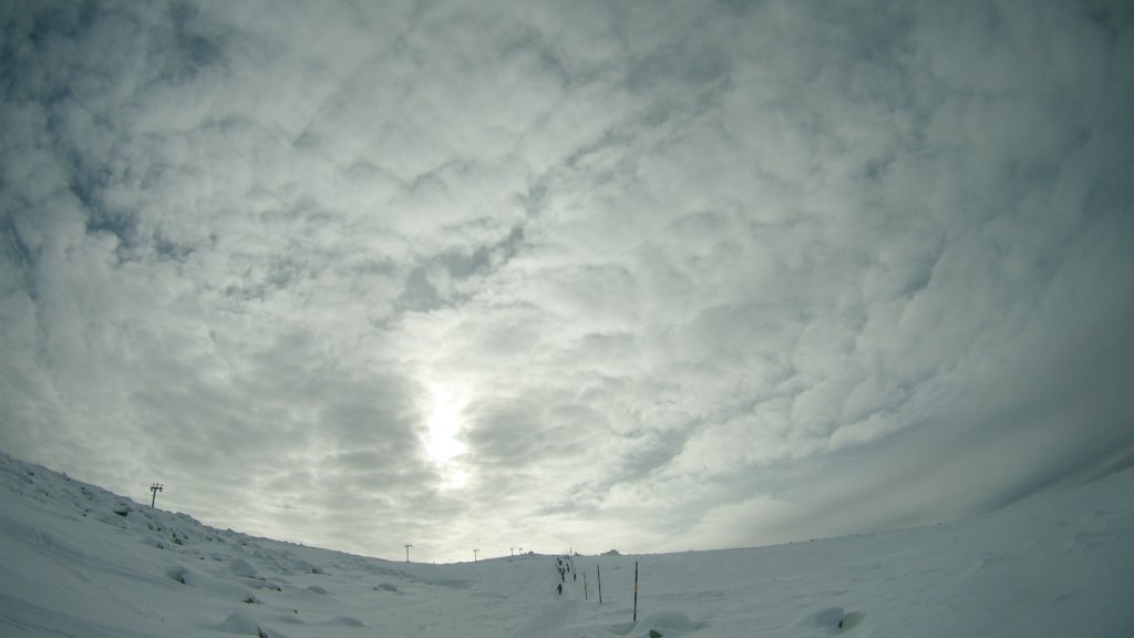 photo36.jpg