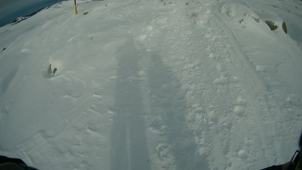 photo39.jpg