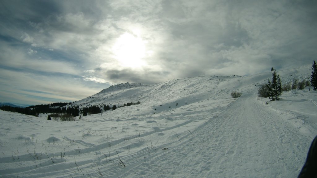 photo9.jpg