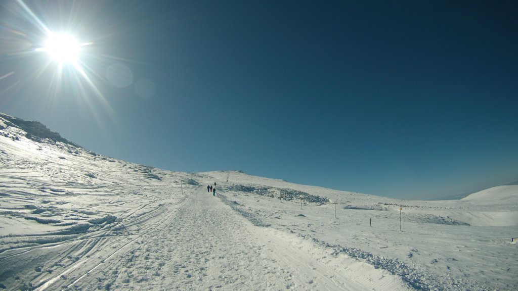 photo10.jpg