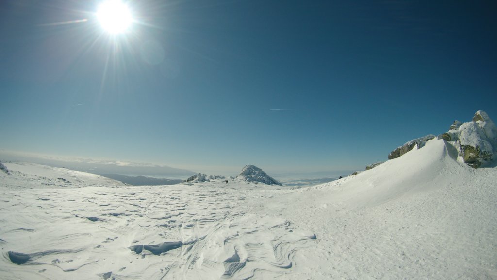 photo17.jpg