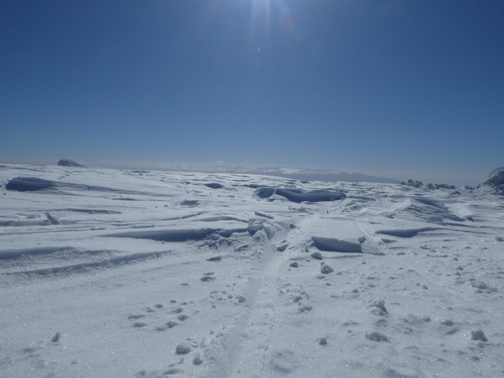 photo23.jpg