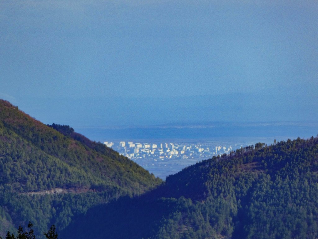 photo27.jpg