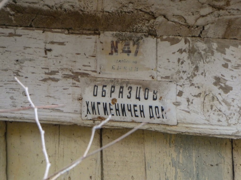 photo87.jpg