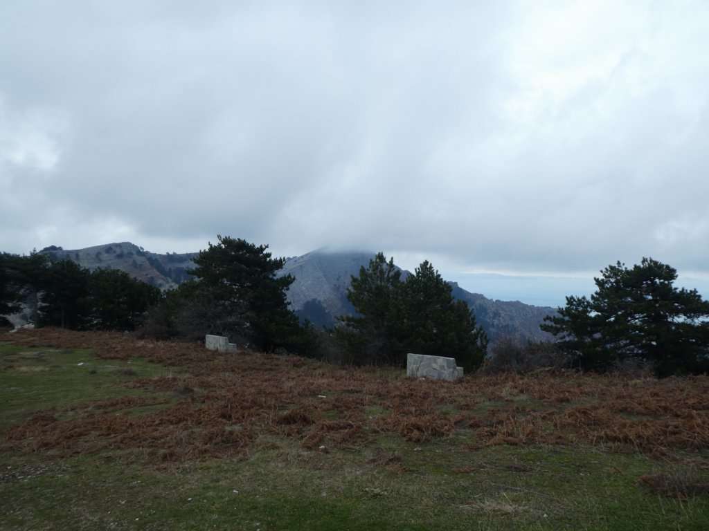 photo170.jpg