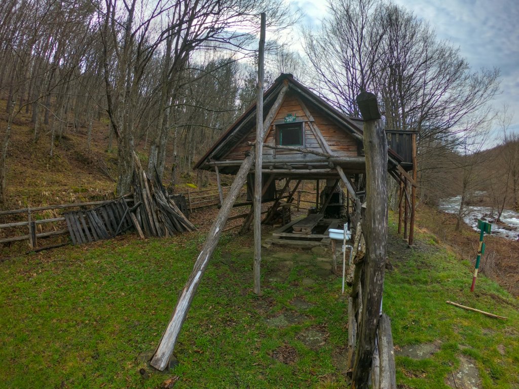 photo2.jpg