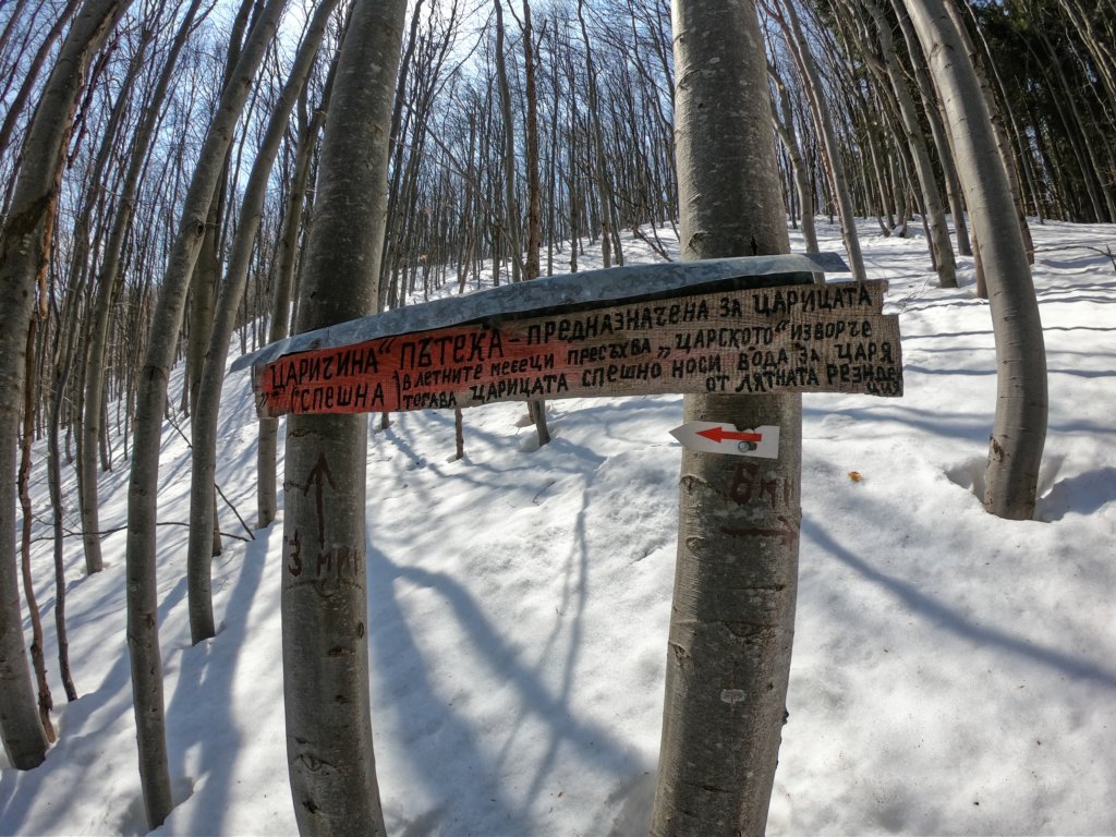 photo23.jpg