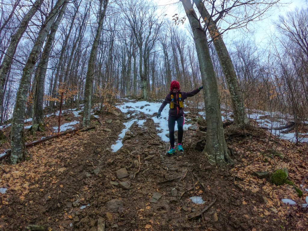 photo41.jpg