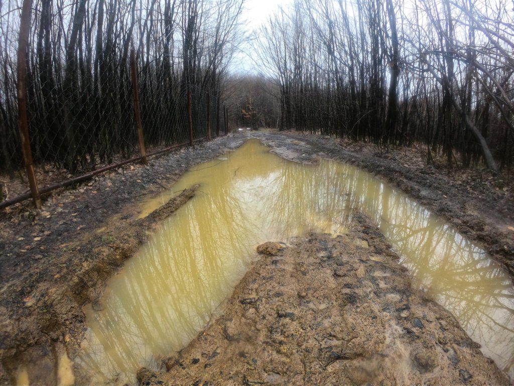photo45.jpg