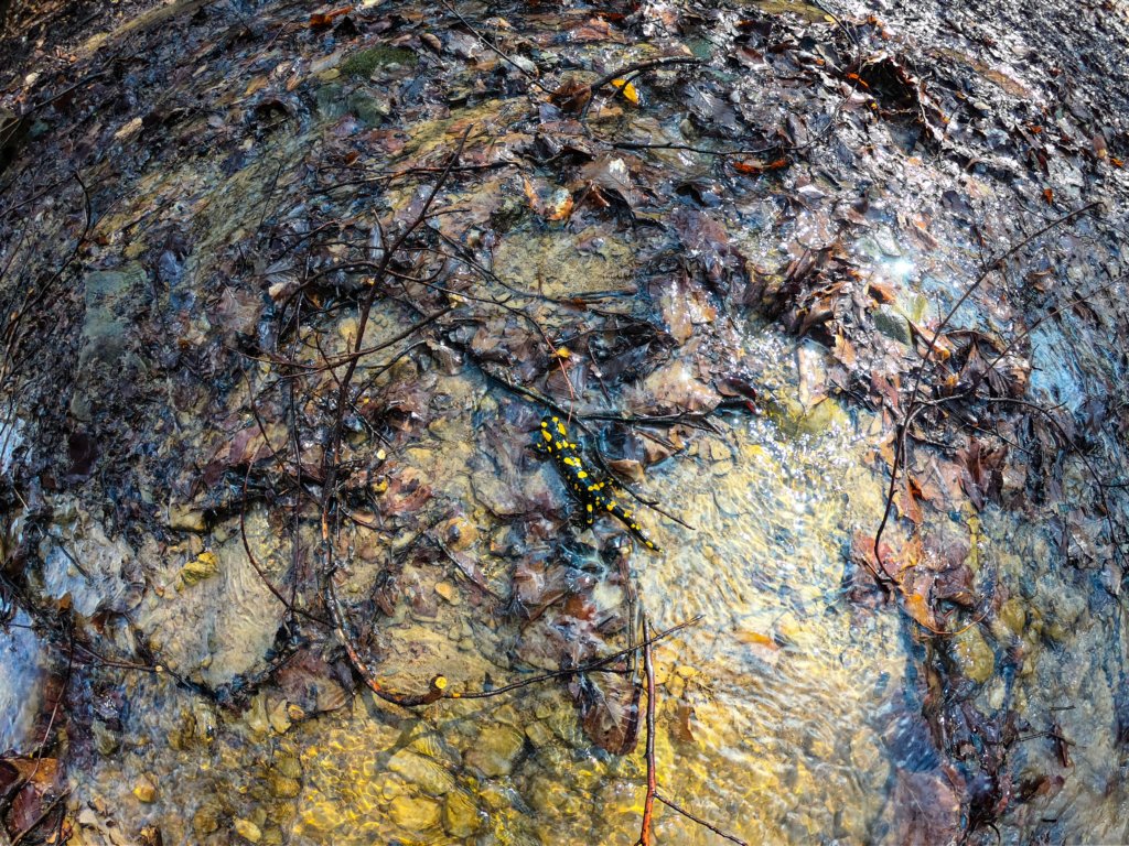 photo53.jpg