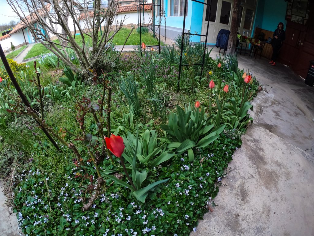 photo64.jpg