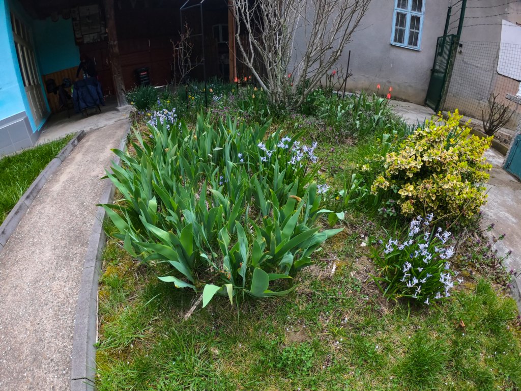 photo65.jpg