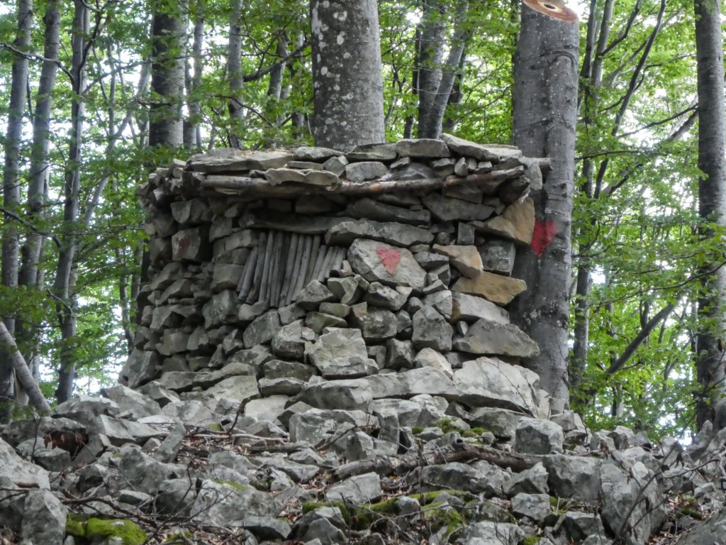 photo13.jpg