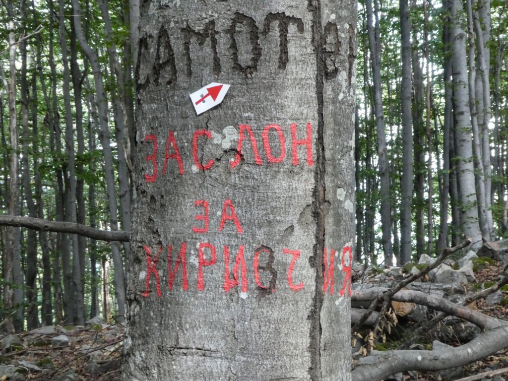 photo18.jpg