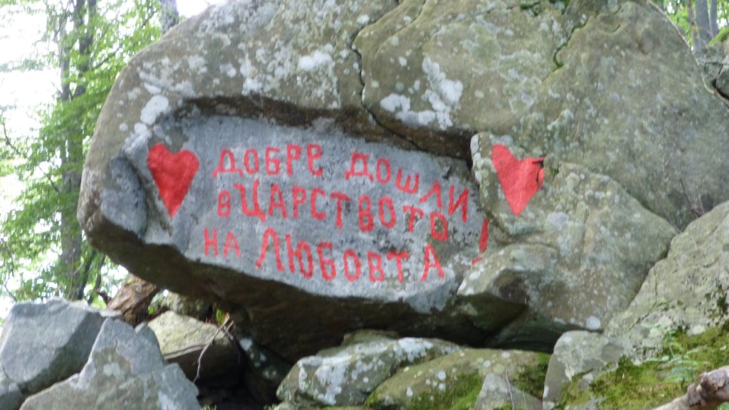 photo24.jpg