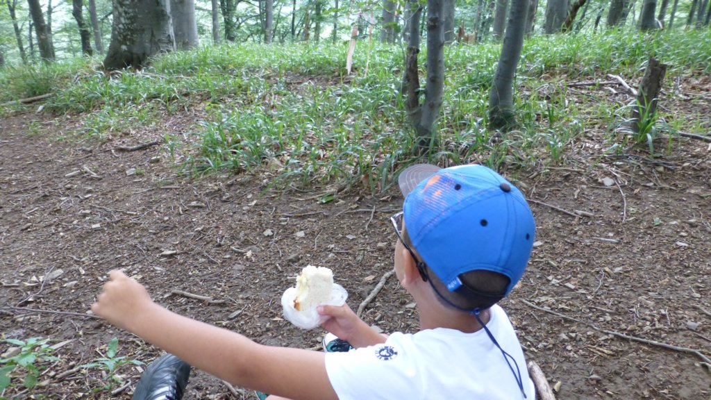 photo36.jpg