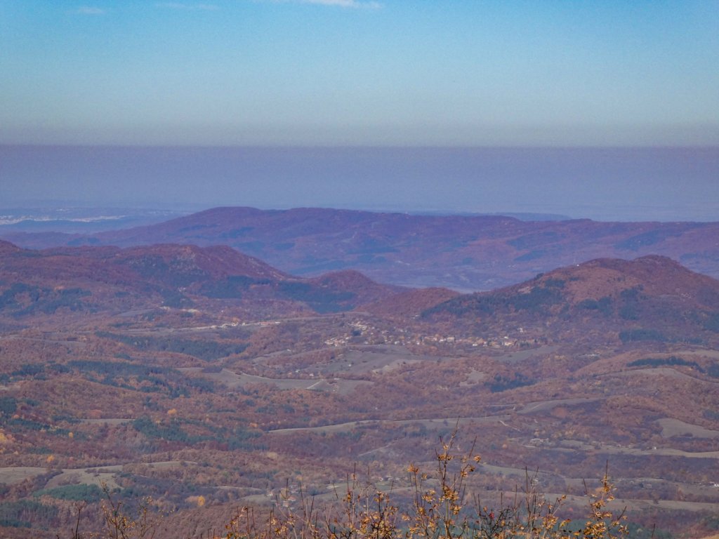 photo17.jpg