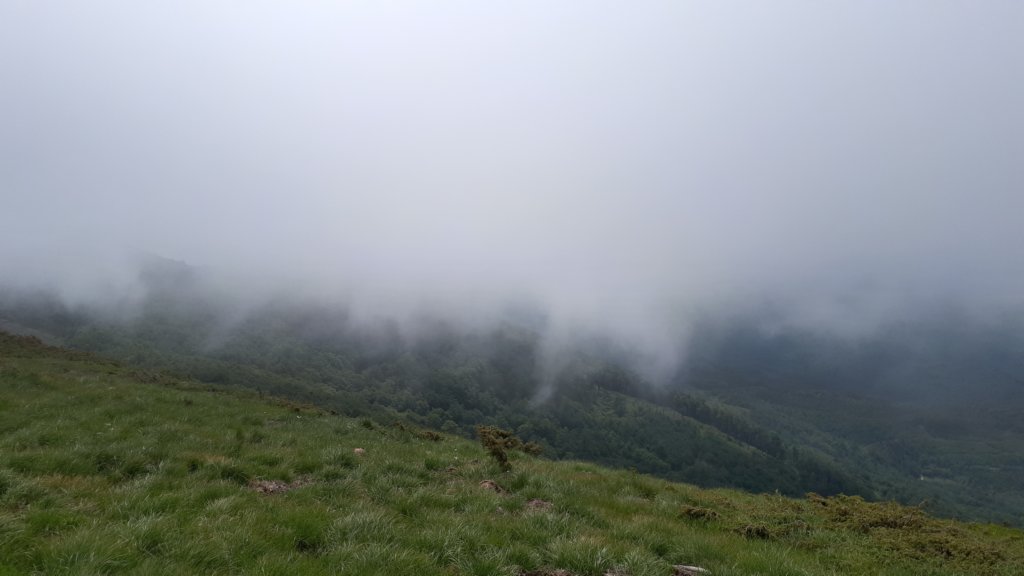 photo22.jpg