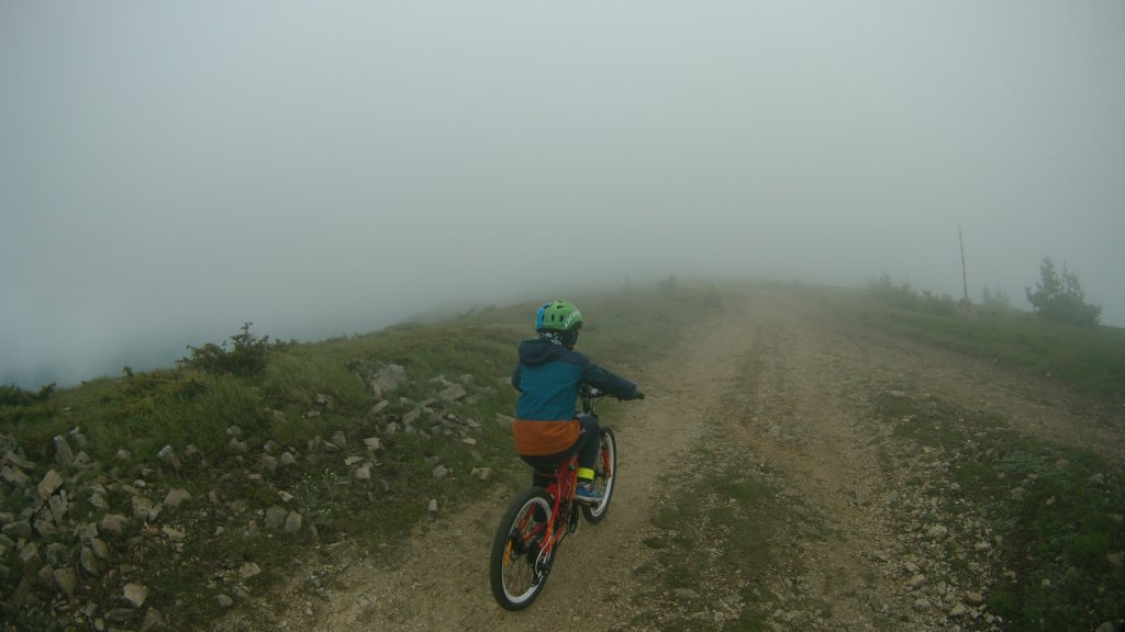 photo25.jpg