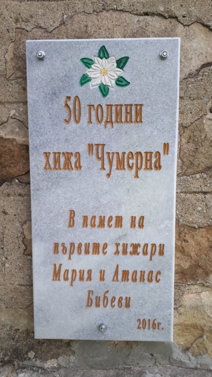 photo36.jpg
