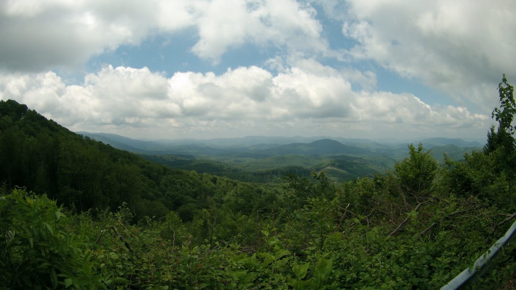 photo51.jpg