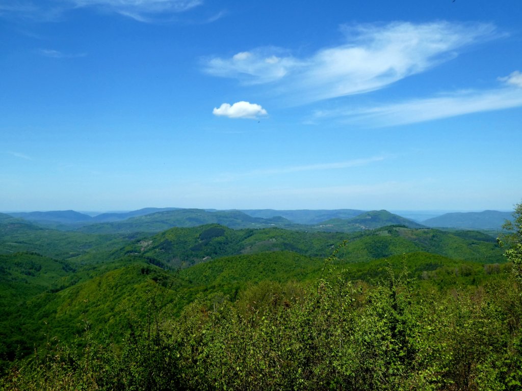 photo20.jpg