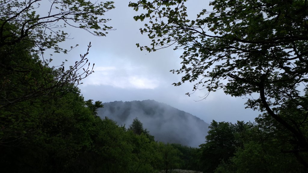 photo34.jpg
