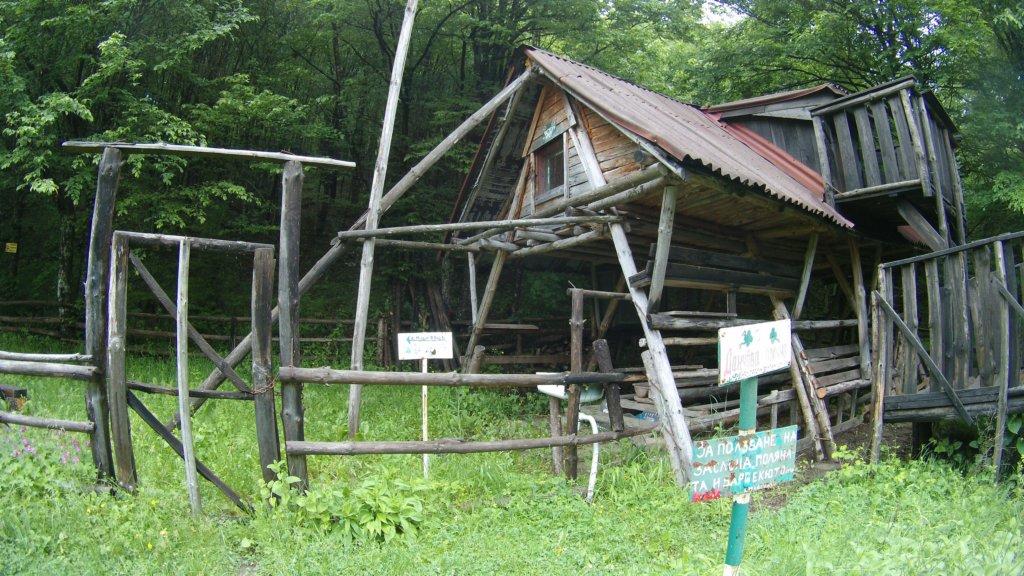 photo5.jpg