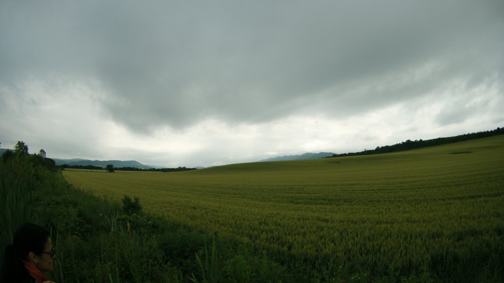 photo73.jpg
