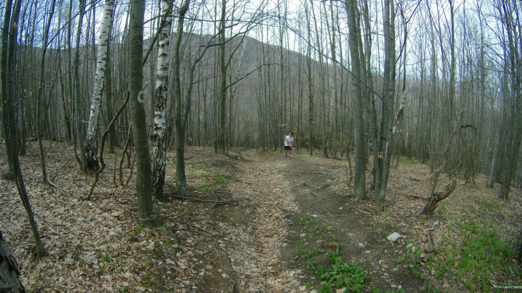 photo13.jpg