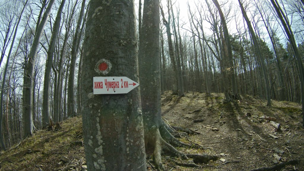 photo16.jpg